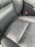 IMG_3334.jpeg